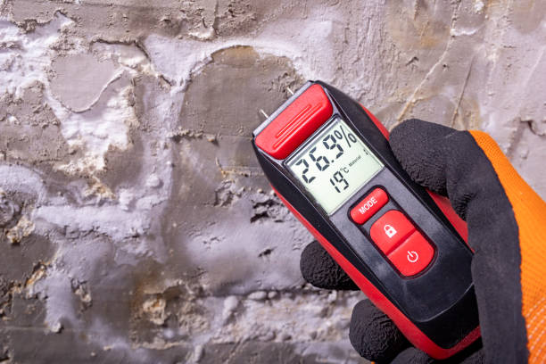 Best Insurance-Related Mold Remediation in Clifton, AZ